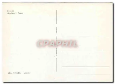 Fuchsias vermelhos — flores pendentes — Ediz. TILOPE - Locarno — Verso