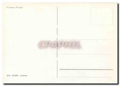 Veronica Ternata — różowe kwiaty z pszczółką — Ediz. TILOPE - Locarno — Rewers