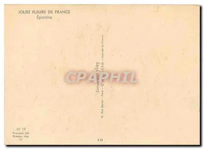 Eglantina — JOLIES FLEURS DE FRANCE — Edições Yvon, N° 19 — Verso