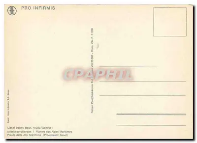 Piante delle Alpi Marittime — Edizioni Huber & Amacker A.G., Aarau — N° VIII 23 303 — Verso