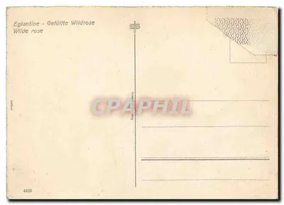 Rosas selvagens — Eglantina — editor EAS, n° 4423 — Verso