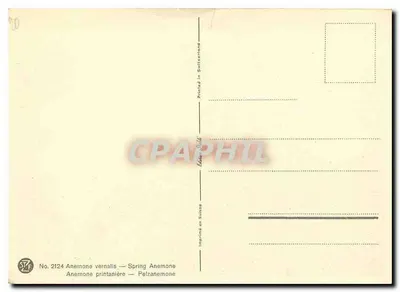 Anémone vernalis — Anémone printanière — Editado na Suíça — Verso