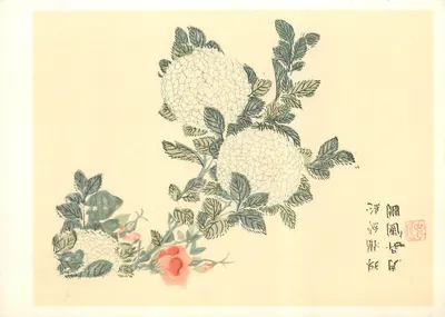 Pétalas de neve e rosa — do jardim da semente da Mostarda — edição Nanking 1679/1701