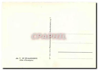 Aleja Eukaliptusów — Wyspa Ste-Marguerite — Spółka Sztuki Fotomechanicznej, Paryż — Rewers