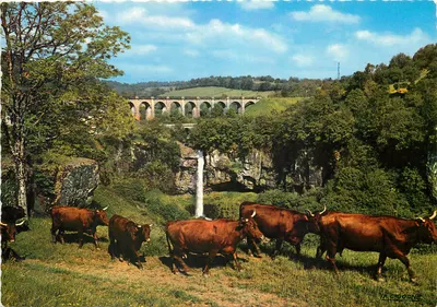 Cascades de Salas — vista panorâmica com viaduto — La Cigogne