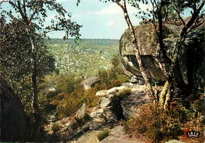 Floresta de Fontainebleau — As gargantas de Jean Goujon — Éditions Mexichrome, n° 1524
