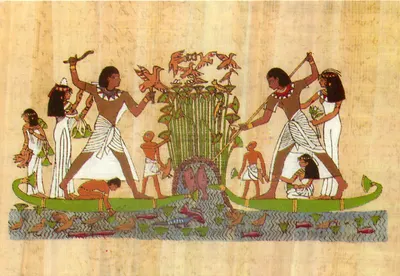 Scribe Menna pescando e caçando aves — 18ª dinastia — Lambelet & Landsdrock, Caire