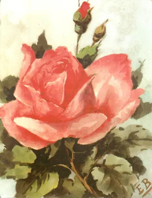 Rosa — pintura aquarelada — assinada EB — edição CROUZET