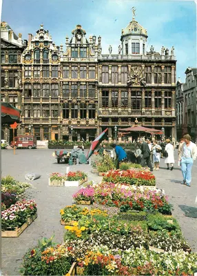 Bruxelas - Grand'Place e Mercado de Flores — Edit. Thill, S.A. n°100/266