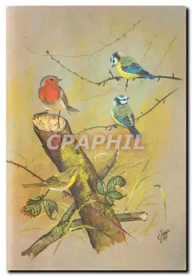 Oiseaux sur un tronc — Willow Warbler, Robin & Bluettits — After the painting by Kenneth J. Wood