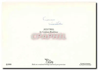 Kestrel — por Graham Bradshaw — edição RSPB, série E655 — Verso