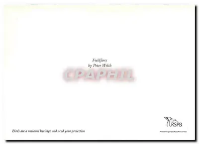 Fieldfares — por Peter Welch — impressa por Royale Print Limited — Verso