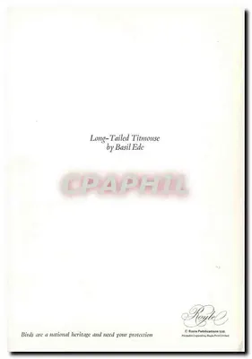 Pardal-de-cauda-larga — por Basil Ede — Royale Publications Ltd. — Verso