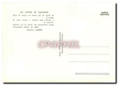 Landy Gascogii — Capbreton — Foto FITTÉ — Rewers