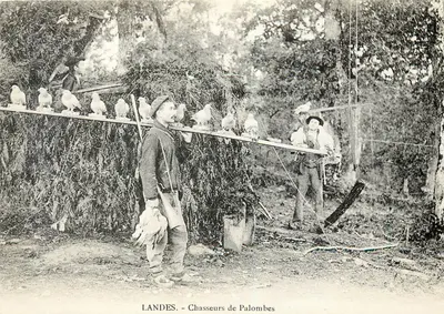 Landes. - Cacciatori di palombi — Edizioni A.T.P. 1890