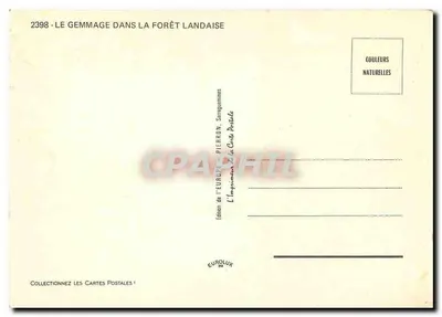 Il gemmaggio nella foresta landaise — Edizione dell'Europa — Pierron — Verso