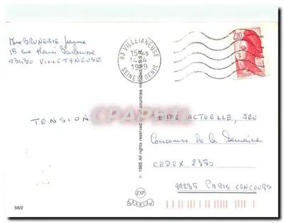 Niemiecki pies — rysunek w technice akwareli — Bernadette Dog — Rewers