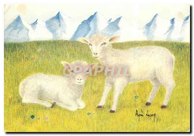 Dois cordeiros em um campo — montanhas no fundo — desenho de Agnès Lecoq