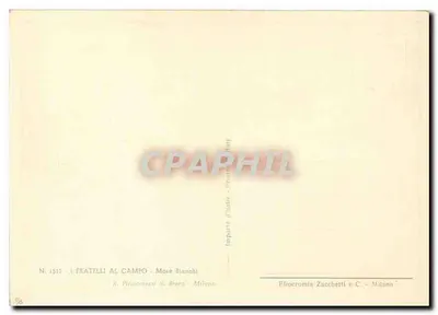 Fratelli al Campo — Pinakoteka Brera — wydawca Eliocromia Zacchetti & C. Mediolan — Rewers