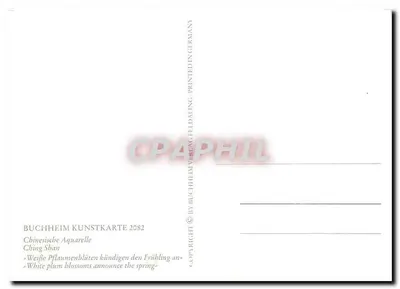 Ching Shan — Biały kwiat przerośnięty wiosną — BUCHHEIM KUNSTKARTE 2082 — Rewers