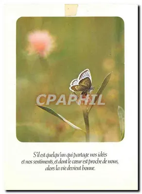 Papillon sobre folha — Se houver alguém que compartilhe nossas ideias — Houtland Brugge