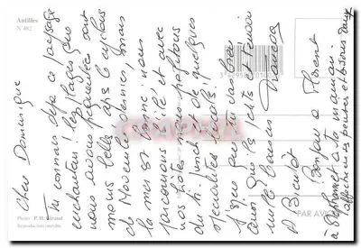 Plik Guadeloupe — widok z palmierem i szalikiem — wydawca Antilles N°482 — Rewers
