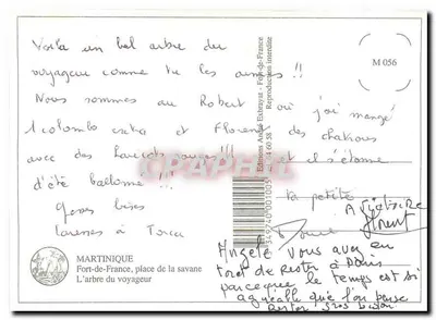 Drzewo podróżnika — Martinique, Fort-de-France — Wydawnictwo André Extrayat, nr M 056 — Rewers