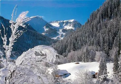 Vale nevado — vista de montanhas e florestas — Edições REVALP - Albertville, n° 115
