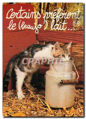 Gato diante de um balde de leite — propaganda para leite — editor: Cliché JOSE DUPONT - BACANA