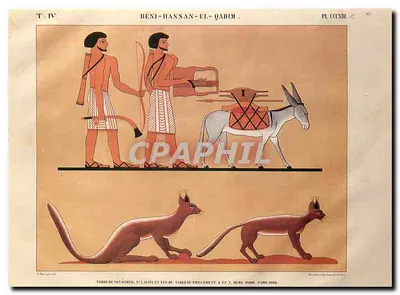 Béni-Hassan-el-Qadim — Tumba de Nevythph — Pl. CCCXIII — Museu Champollion, Figeac