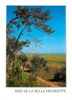 Baía da Belle Henriette — vista panorâmica — Foto Pierre Morison