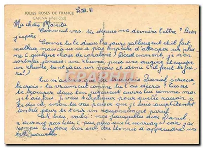 Róża różowa — wydanie JOLIES ROSES DE FRANCE — Carina (Meilland) — nr 58 — Rewers