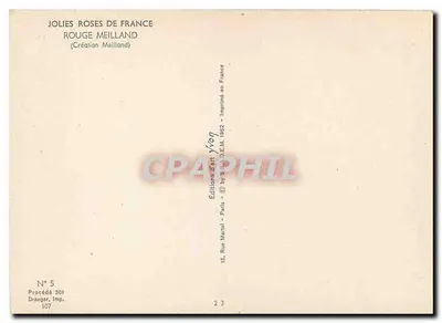 Rosas da França — Vermelha Meilland — Edições Martel — Verso