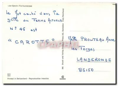 Róża żółta — 'Carotte' — Jan Speck Floribundarose, n° 45 — Rewers