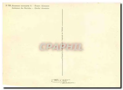 Anémonas coloridas — Anémone coronaria b. — Thor & Cie, Suisse, N° 799 — Verso