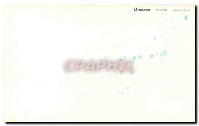 Róża — kwitnąca róża — STEBA CARTES, n° 51-409 — Rewers