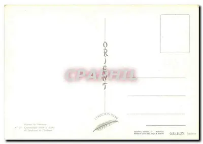 Carlo Magno consegna la carta di fondazione dell'Andorra — Collezione Inamé, n° 21 — Verso