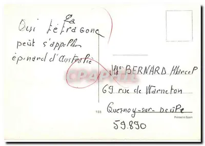 Flores — rosas e flores brancas — n°155 — Verso