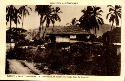 Brasil - Mato Grosso — Missões Salesianas — Fazenda e palmeiras gigantes na floresta — editor La Loupier, Lyon