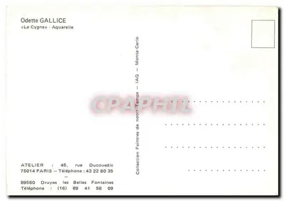 Cisne — Aquarela — P. Gallice 1979 — Verso