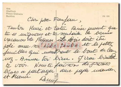 Chaffinch sobre galho florido — ilustração de Brannet — editor Vink, série VN 191 — Verso
