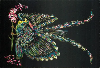 Fênix e orquídea — ilustração colorida — Imp. COLIN, 14 Rue Fresnel, Paris