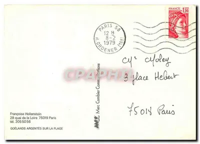 Trzy mewy — rysunek akwarelowy — Françoise Hollenstein — Rewers