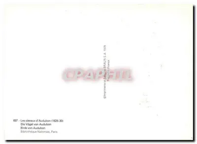 Os pássaros de Audubon — série 657 — Editor BRAUN S.A. 1978 — Verso