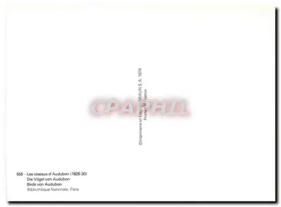 Aves de Audubon — Fringilla Ciris — Edições BEAUN S.A. 1978 — Verso