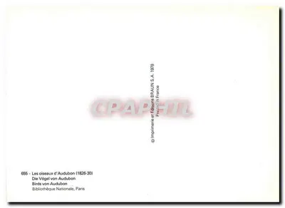 Ptaki Ameryki — Ptak z gardłem białym — Wydawnictwo BRAUN S.A. 1978 — Rewers