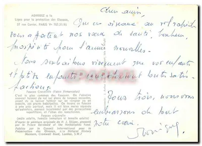 Falcão crecerela — H.J. Shipman — publicado pelo Prince Bernhard of the Netherlands Fund — Verso