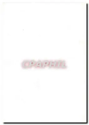 BONDREE APIVORE — Pernis apivorus — desenho assinado VB — Verso