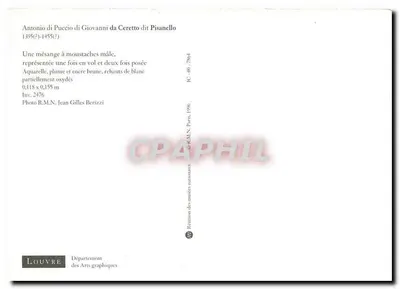 Mieszkańczyk z wąsami — trzy pozycje — Louvre, Departament Sztuki Graficznej — Rewers