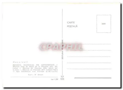 Rhyton z Porolina — III wiek p.n.e. — n° 5209 — Rewers